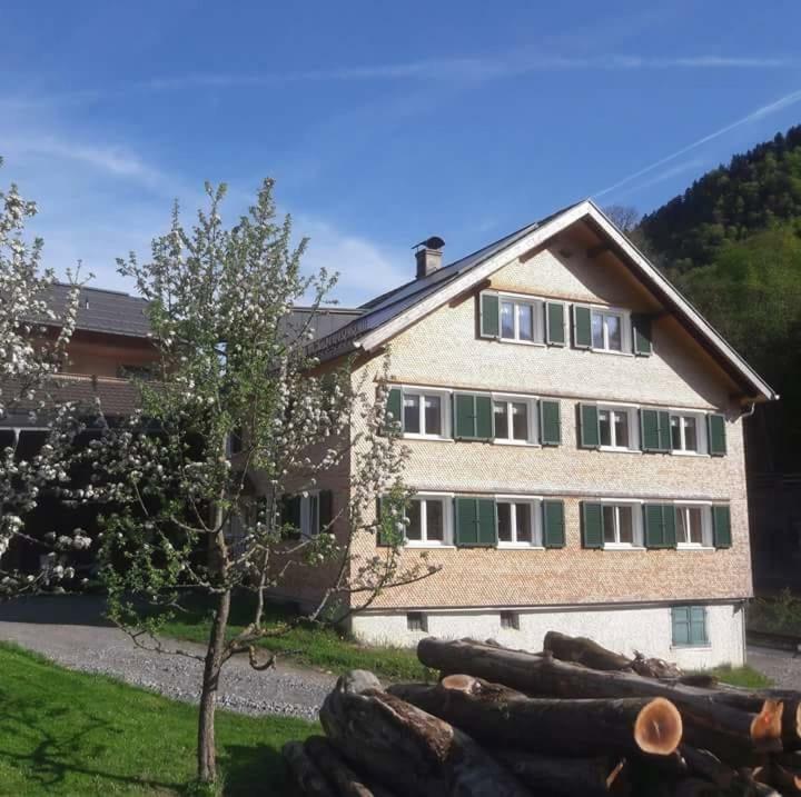 Apartments Haensler Mellau Esterno foto